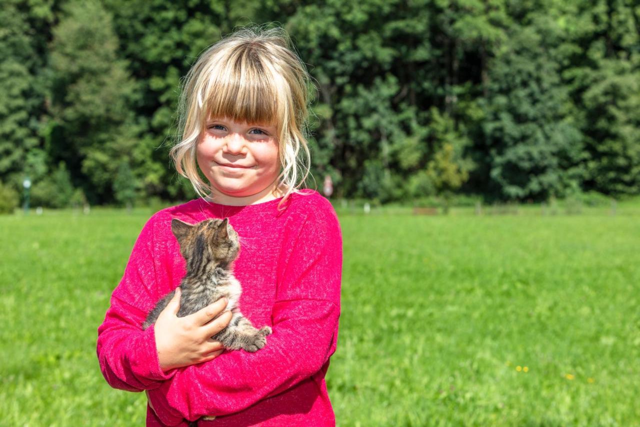 Appartamento Biobauernhof Stegerbauer Maria Alm am Steinernen Meer Esterno foto