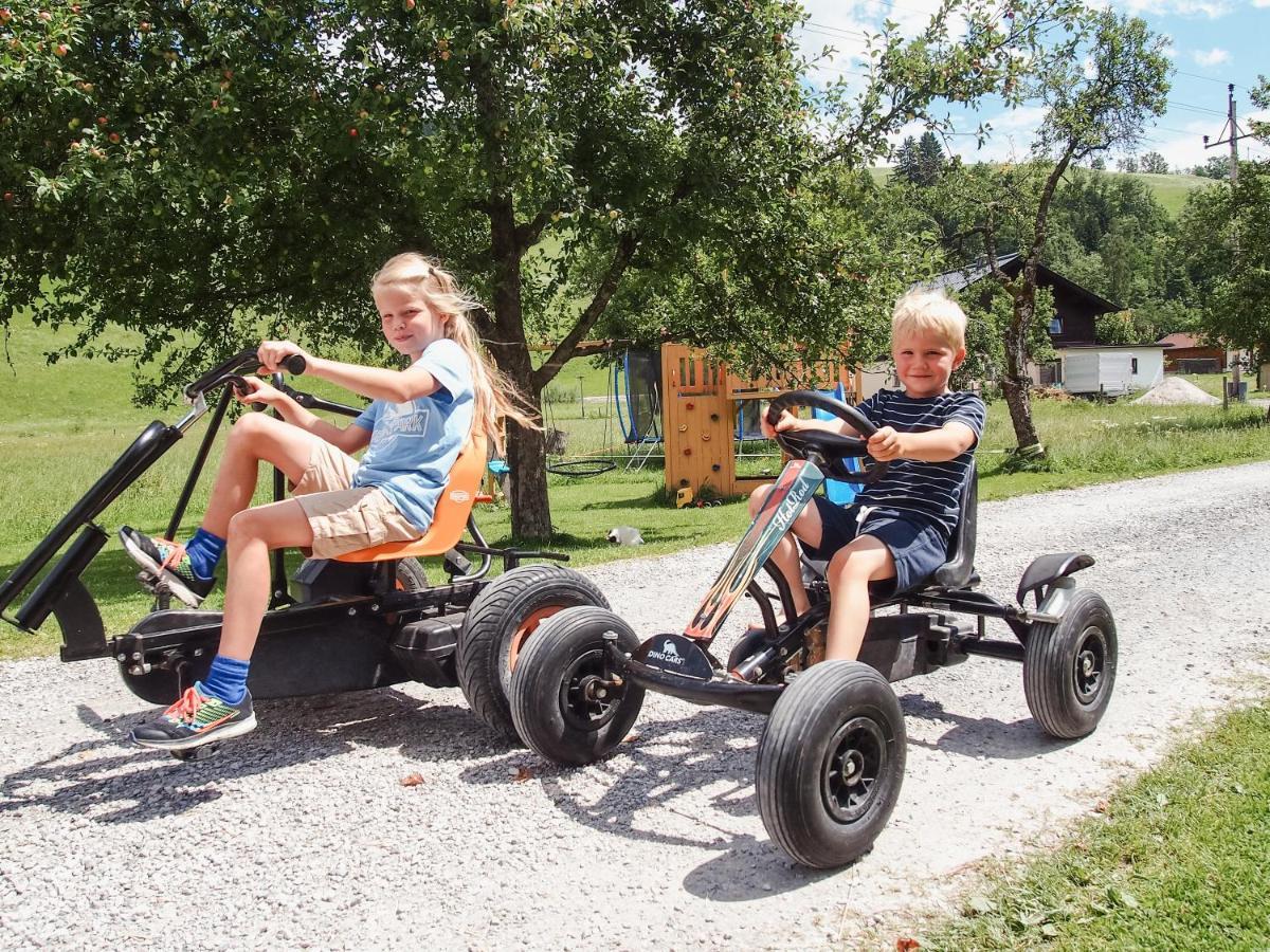 Appartamento Biobauernhof Stegerbauer Maria Alm am Steinernen Meer Esterno foto