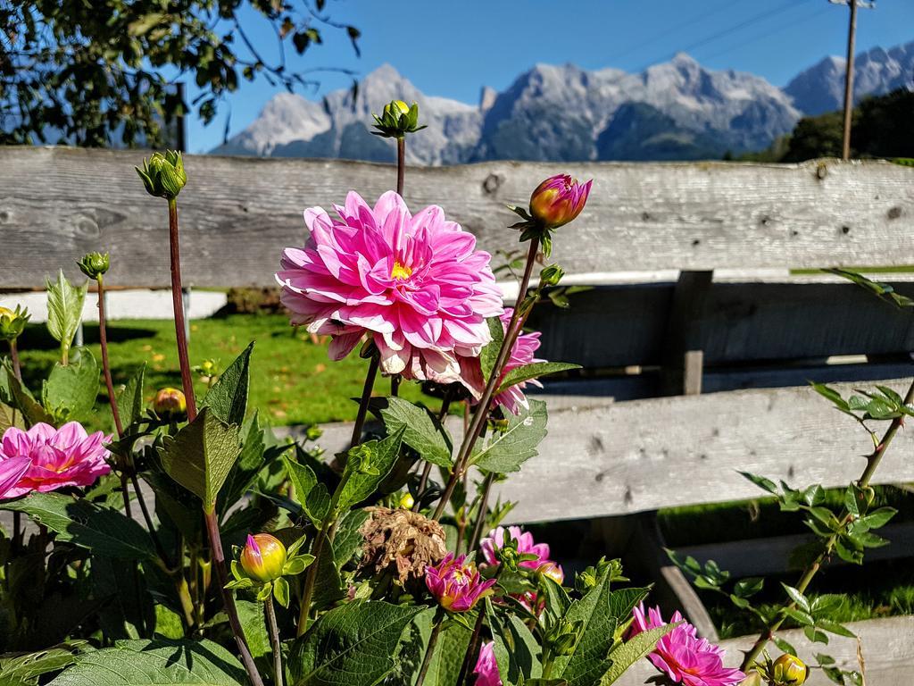 Appartamento Biobauernhof Stegerbauer Maria Alm am Steinernen Meer Esterno foto