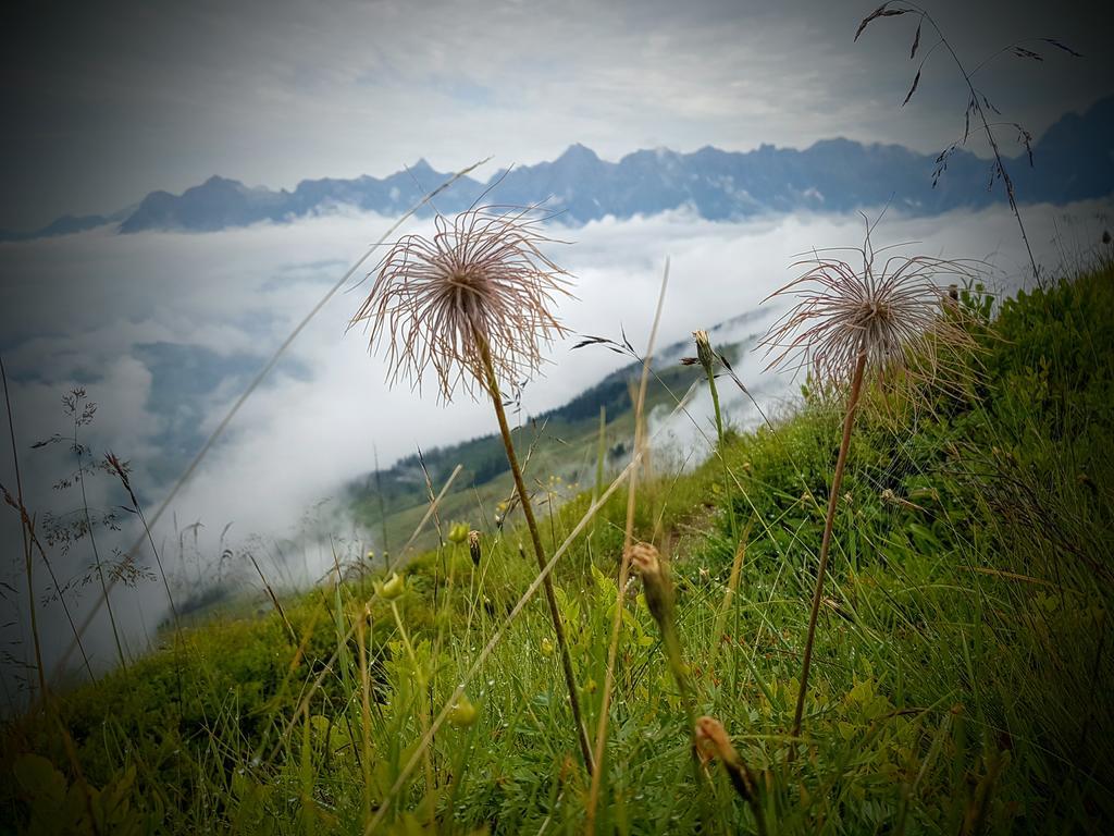 Appartamento Biobauernhof Stegerbauer Maria Alm am Steinernen Meer Esterno foto