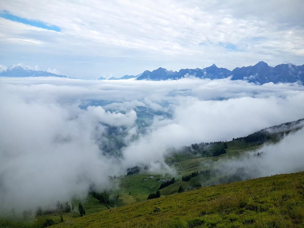 Appartamento Biobauernhof Stegerbauer Maria Alm am Steinernen Meer Esterno foto