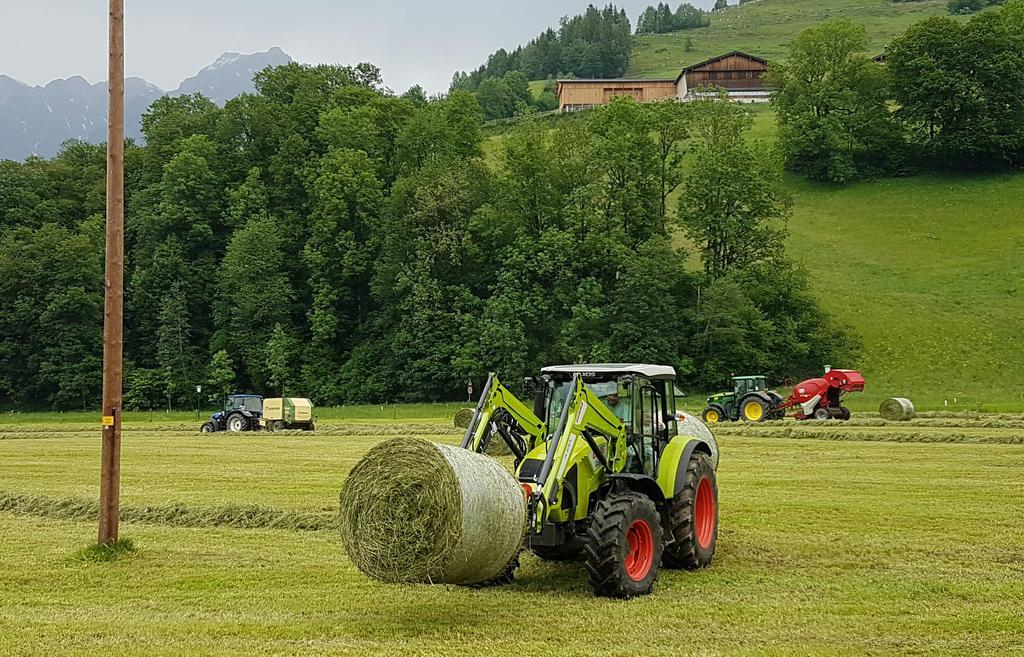 Appartamento Biobauernhof Stegerbauer Maria Alm am Steinernen Meer Esterno foto