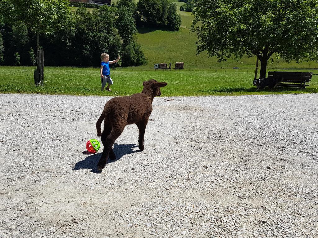 Appartamento Biobauernhof Stegerbauer Maria Alm am Steinernen Meer Esterno foto