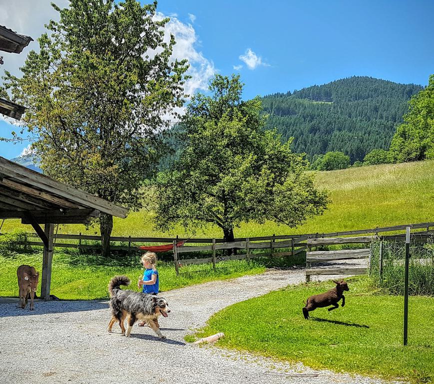 Appartamento Biobauernhof Stegerbauer Maria Alm am Steinernen Meer Esterno foto