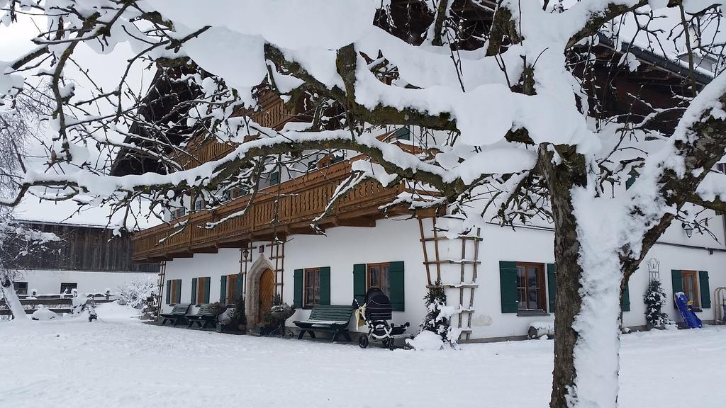 Appartamento Biobauernhof Stegerbauer Maria Alm am Steinernen Meer Esterno foto
