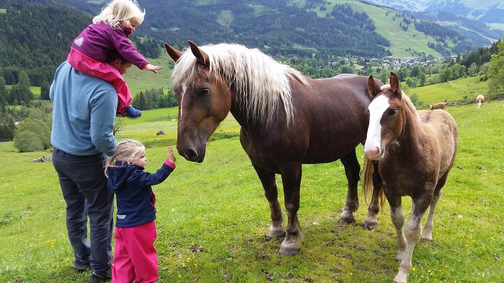 Appartamento Biobauernhof Stegerbauer Maria Alm am Steinernen Meer Esterno foto